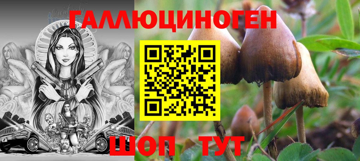 Петропавловск-Камчатский  Псилоцибиновые грибы GOLDEN TEACHER  Вход с VPN  Галлюциногенные грибы прущие грибы 