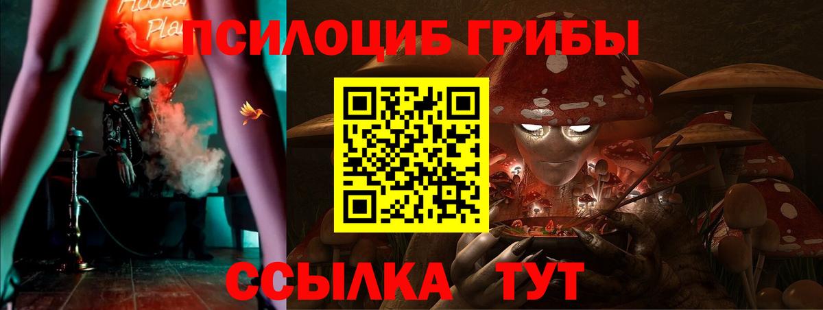 Галлюциногенные грибы Cubensis Петропавловск-Камчатский
